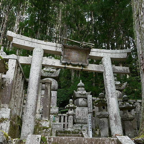 Torii, stupa e lanterne di pietra fra la foresta